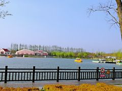 -上海长兴岛郊野公园