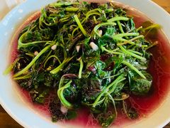 -双塔老饭店