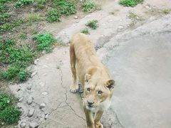 -西安秦岭野生动物园
