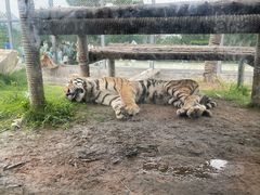 -西霞口神雕山野生动物世界
