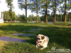 -东湖落雁景区