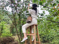 -樱桃山旅游景区