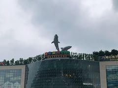 -成都浩海立方海洋公园