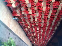 -峨眉山报国寺