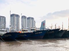 -沈家门渔港