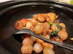 -伯衡55·吉品轩(乌鲁木齐南路店)