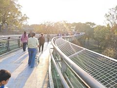 -合肥野生动物园