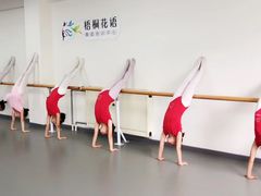 -梧桐花语舞蹈培训中心(潞城校区)