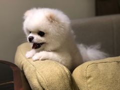 -亭下湖饭店(康岭店)