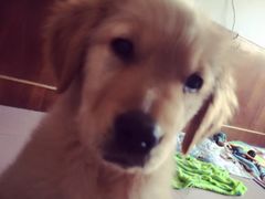 -惠康宠物医院(华能路店)