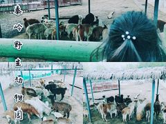 -西安秦岭野生动物园