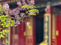 -西安市广仁寺