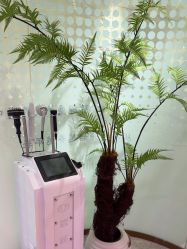 -碧莲盛·脱发养发中心