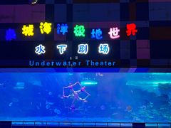-泉城欧乐堡海洋极地世界