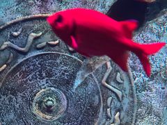 -沈阳海洋探索中心