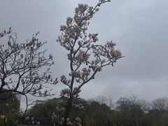 -日出青木·杭帮菜名店