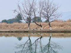 -良渚古城遗址公园