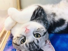 -乐宠宠物店(世纪金源店)