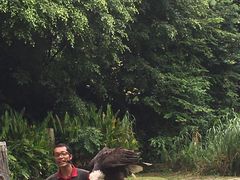 -新加坡飞禽公园