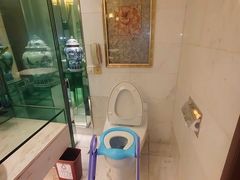 -成都泰合国际大饭店(春熙路太古里店)