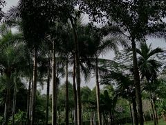 -三亚蜈支洲岛旅游区