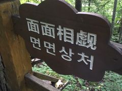 -望天鹅景区