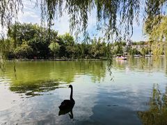 -洛阳马蹄泉旅游度假村