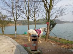 -宁波九龙湖开元度假村