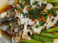 青花椒蒸笋壳鱼-猪肉婆私房菜(容桂总店)