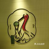 gelato与牛奶的神奇组合