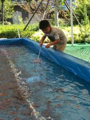 -萌宠亲子动物乐园(槐房万达店)