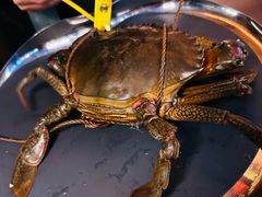 -Ministry of Crab•MOC(交子大道店)