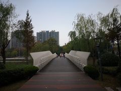 -南翔镇银翔湖公园