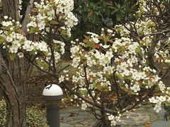 -白塘生态植物园