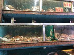 水产区-新农都水产市场