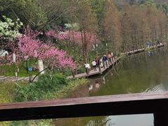-重庆彩云湖湿地公园