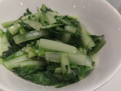 -大鸽饭(马王堆店)