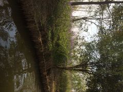 iphone_upload_pic-溱湖国家湿地公园