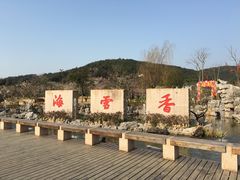 -香雪海