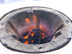 -鸿渡渔庄·特色鸭咀鱼