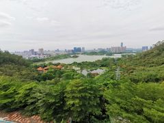 -顺峰山公园