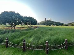 -红花山公园