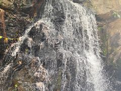 -梧桐山风景名胜区