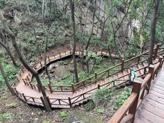 -大岭沟猕猴桃谷风景区
