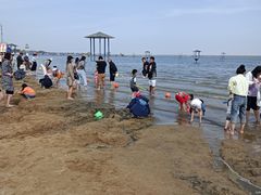 -碧海金沙