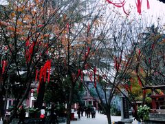 -西安青龙寺遗址景区
