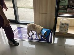 -宠颐生动物医院·小陆分院