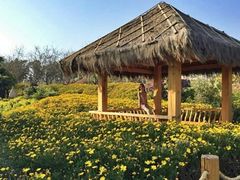 沙滩花园-抚仙湖万达文华酒店