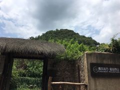 -看见远方·莫干遥远的山民宿