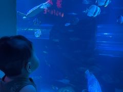 -太平洋海底世界